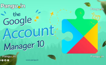 GOOGLE ACCOUNT MANAGER Q 10.0, 10.1.0 APK