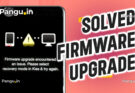 firmware upgrade encountered