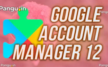 Google account manager 12