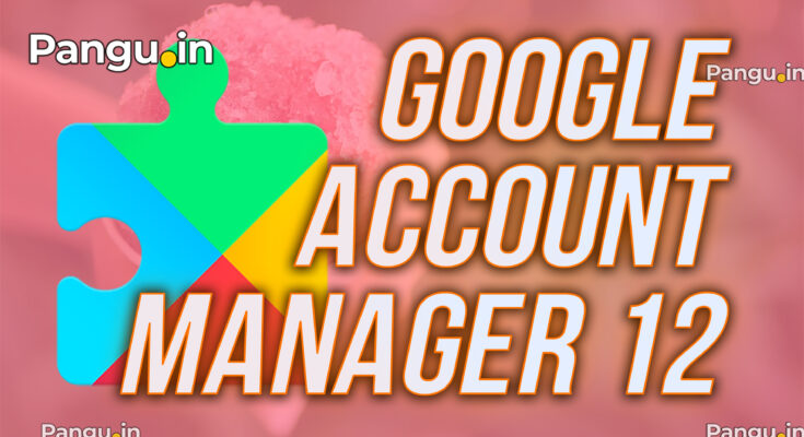 Google account manager 12