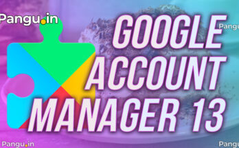 Google Account Manager 13