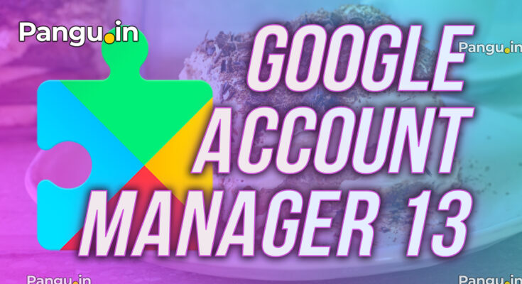 Google Account Manager 13